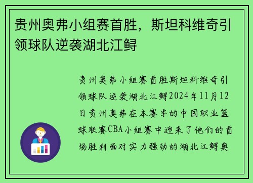 贵州奥弗小组赛首胜，斯坦科维奇引领球队逆袭湖北江鲟